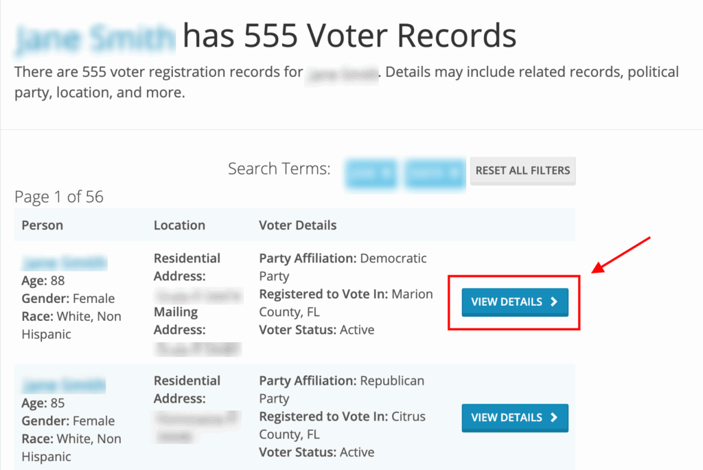 Screenshot of a voterrecords webpage showing details like age, gender, race, party affiliation, location, voter status, and a blue “View Details” button outlined in red with a red arrow pointing to it.