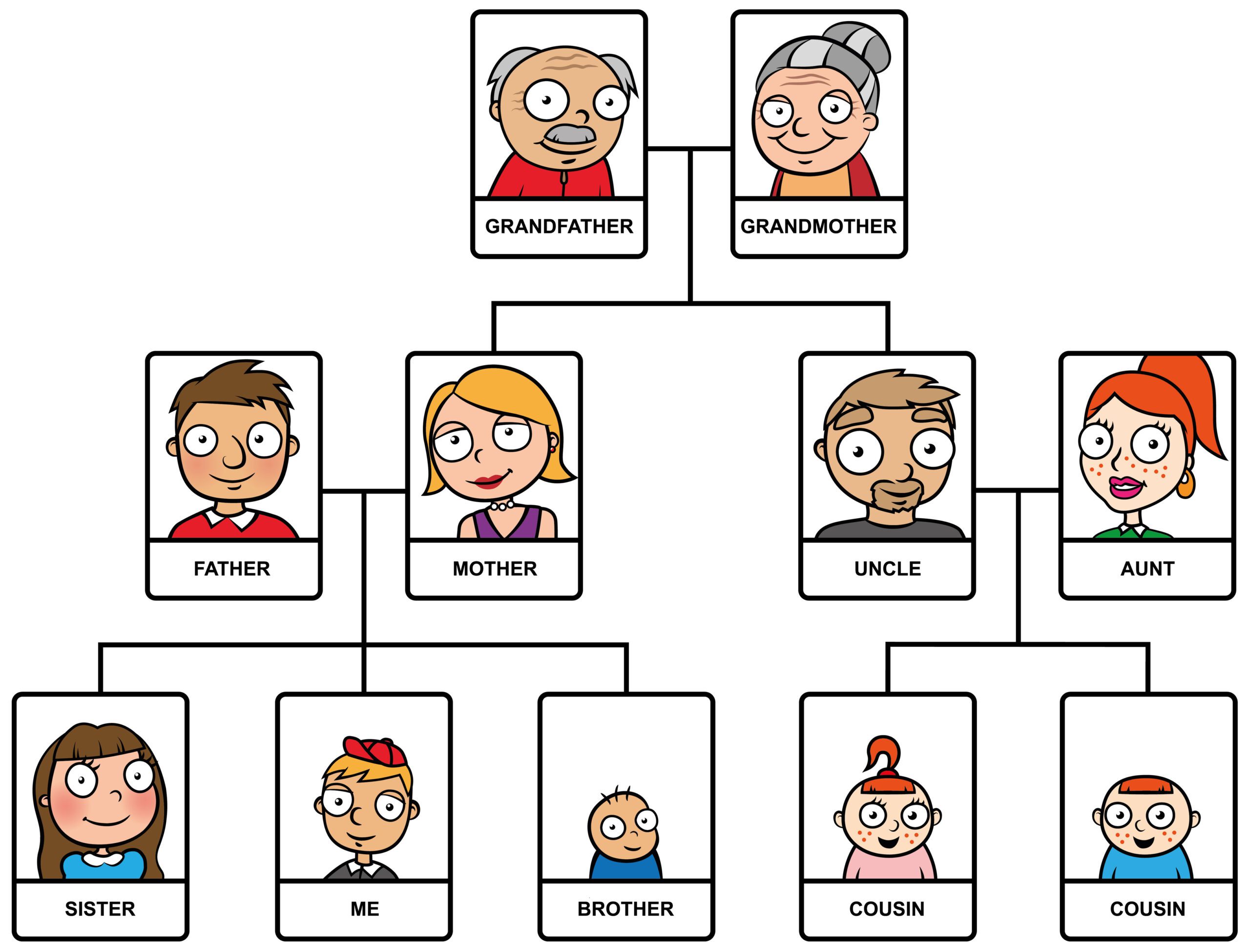 A cartoon family tree with illustrations showing grandfather, grandmother, father, mother, uncle, aunt, sister, brother, cousin, and "me" at the center bottom. Lines connect each family member’s relationships.