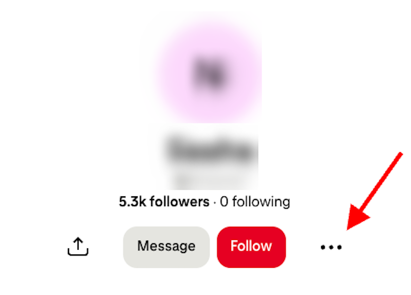 Accessing the reporting menu on someone's Pinterest account.